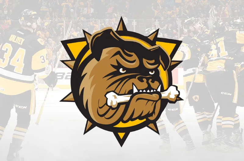 Brantford Bulldogs logo over a hockey game